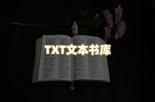 TXT文本书库